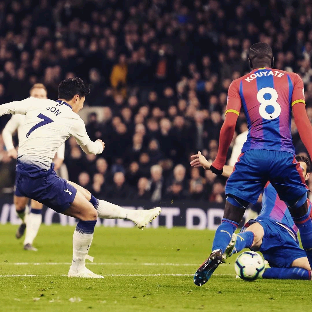 也代表了皇 也代表了皇